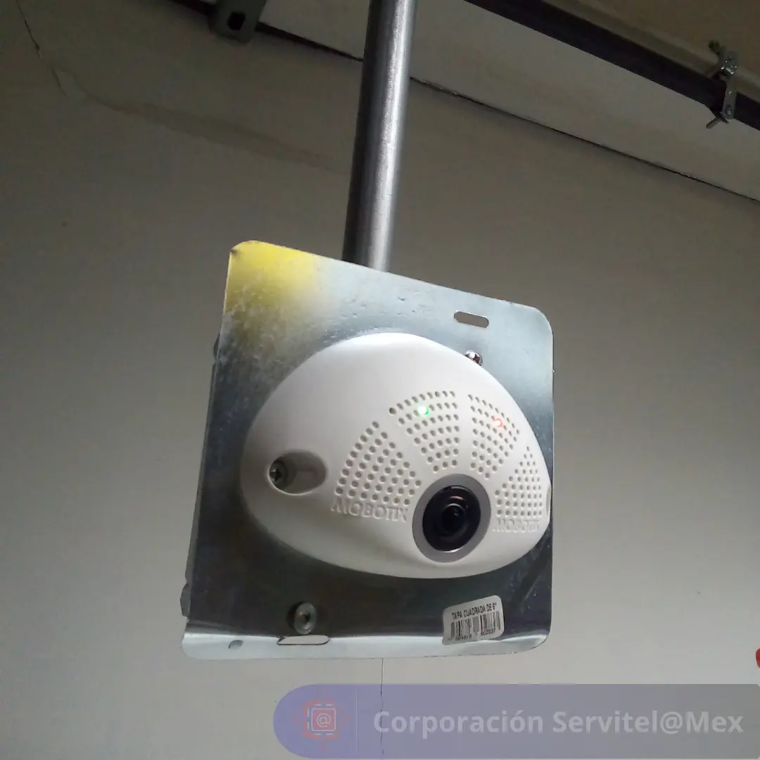 Video Vigilancia #10