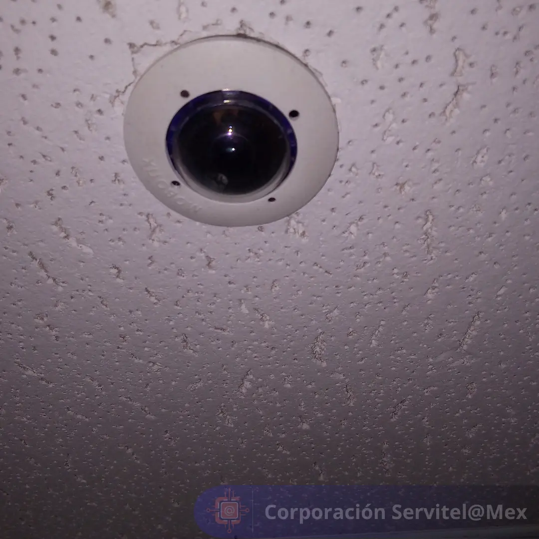 Video Vigilancia #7